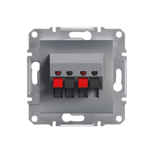 Аудиорозетка Schneider Electric Asfora Сталь EPH5700162