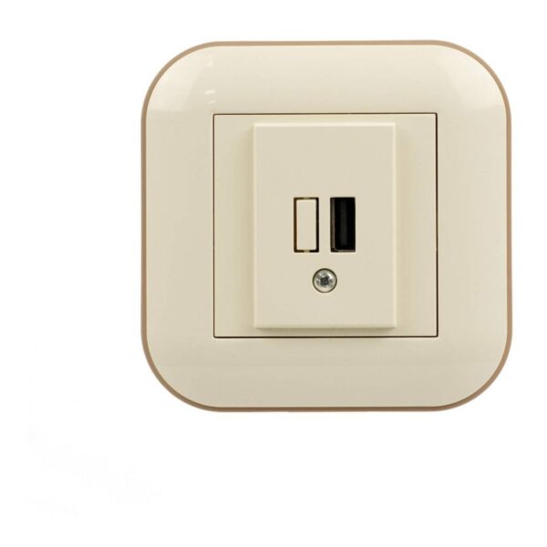 USB-розетка 1xUSB Ovivo LOFT Крем+Крафтовый (404-020306-245)