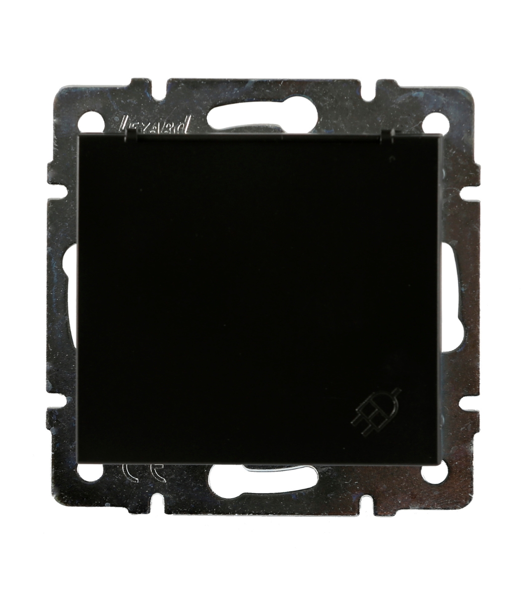 2d05f630-eee4-11ee-0a80-15f2003842a5.jpg Розетка 1-я, с заземлением, с крышкой RAIN Lezard, Антрацит (703-4288-123В) — изображение 1