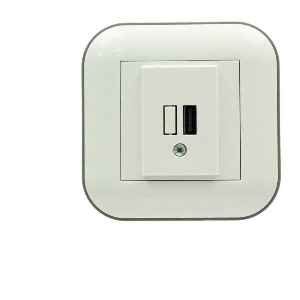 USB-розетка 1xUSB Ovivo LOFT Белый+Серый (404-010303-245)